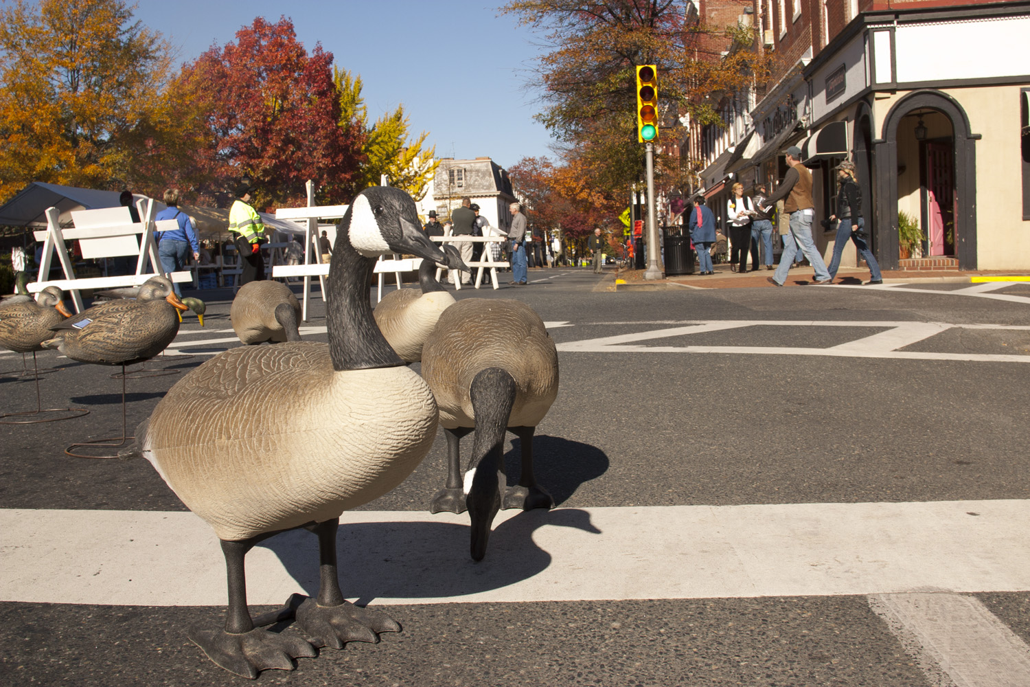 Easton, Maryland, Waterfowl Festival - American Profile