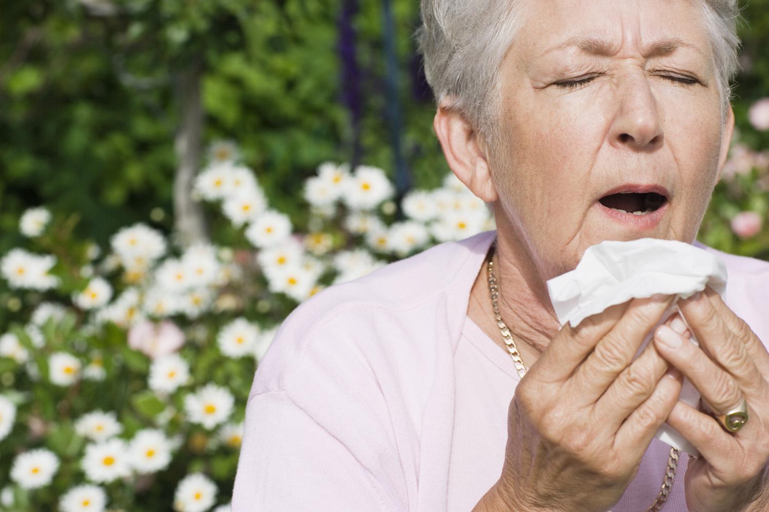 what-is-hay-fever-american-profile