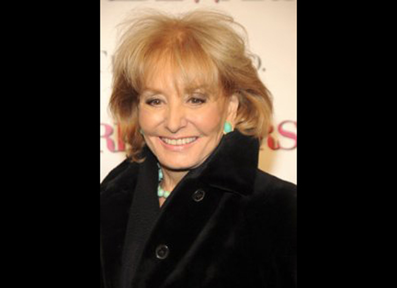 Barbara Walters' Biggest Interviews - American Profile