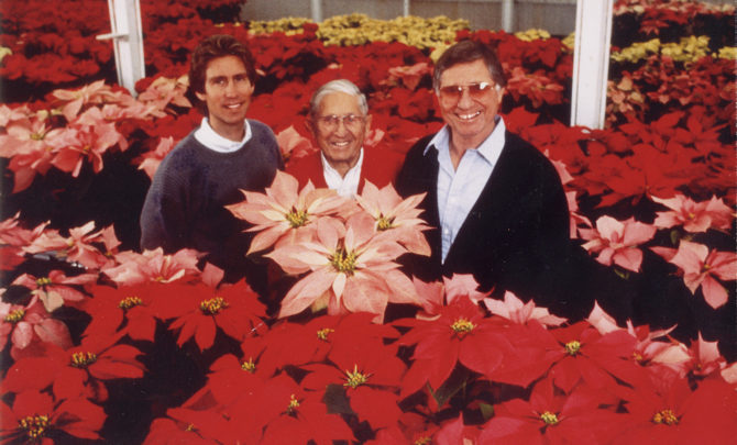 ecke-poinsettia-worlds-largest-grower