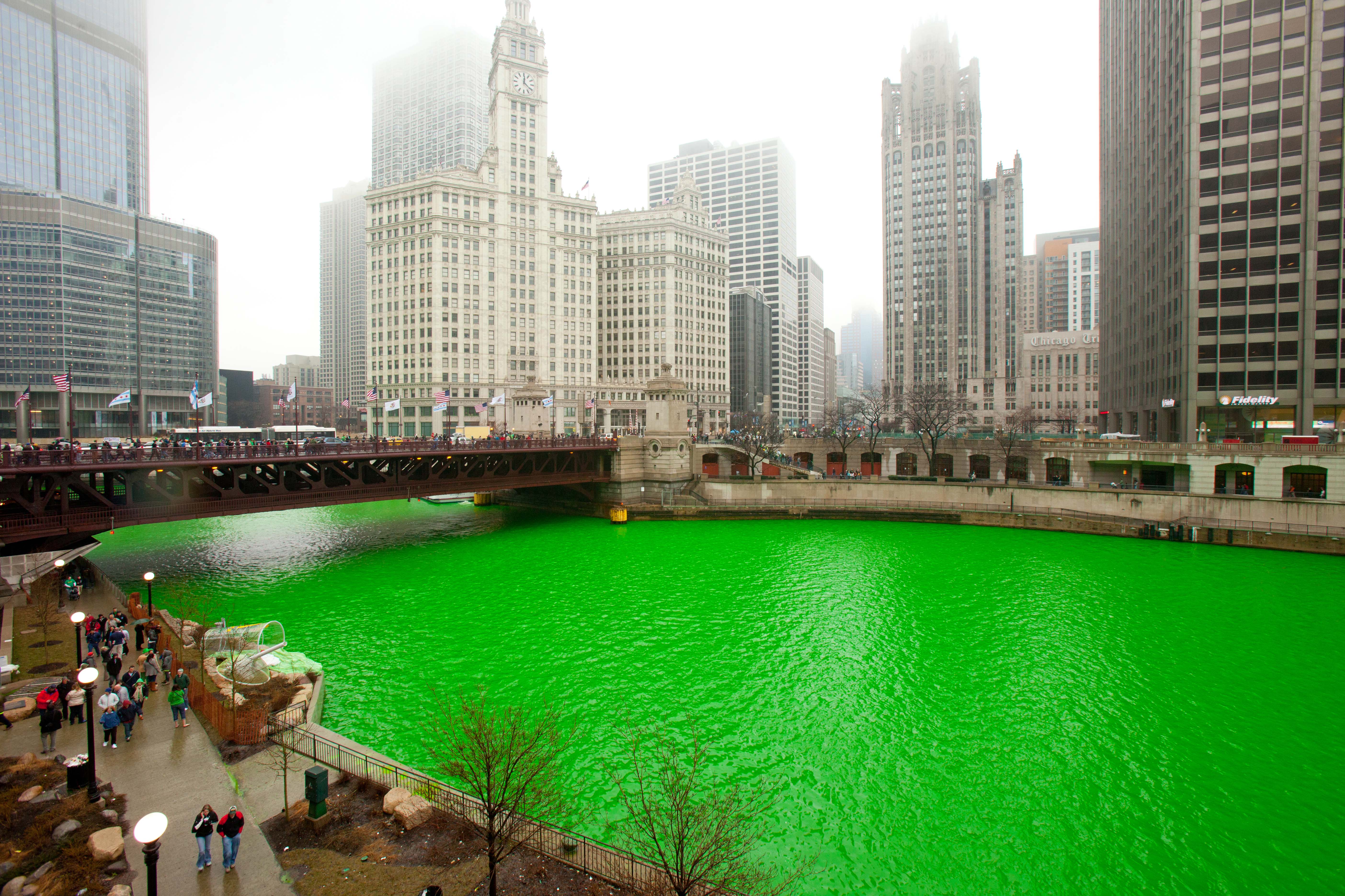 Greening the Chicago River American Profile