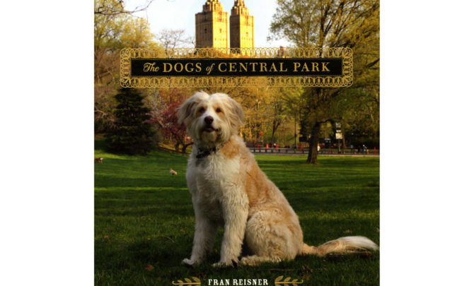 dogs-of-central-park