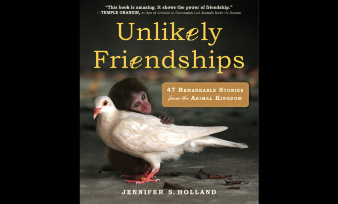 unlikely_friendships
