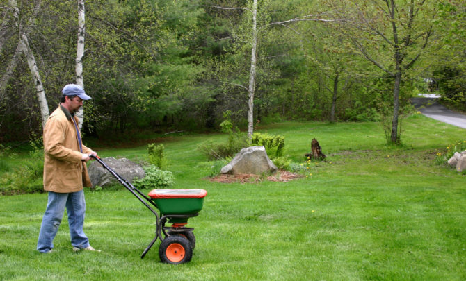 fertilize-your-lawn
