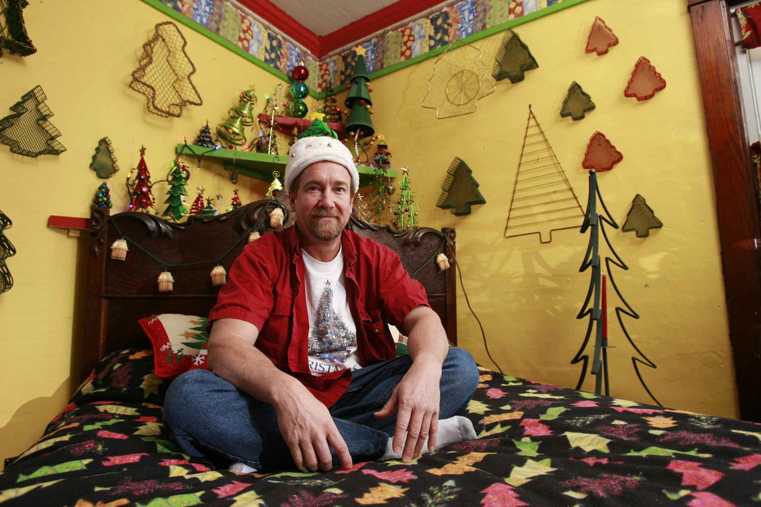 Collecting Christmas Trees American Profile