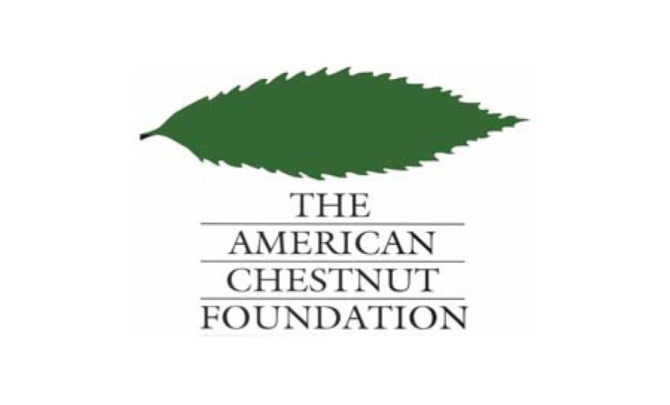 the-american-chestnut-foundation