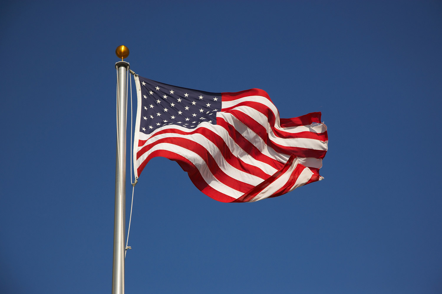 Celebrating Flag Day - American Profile