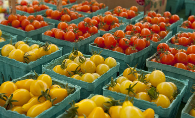 oregon-city-farmers-market-tomatoes