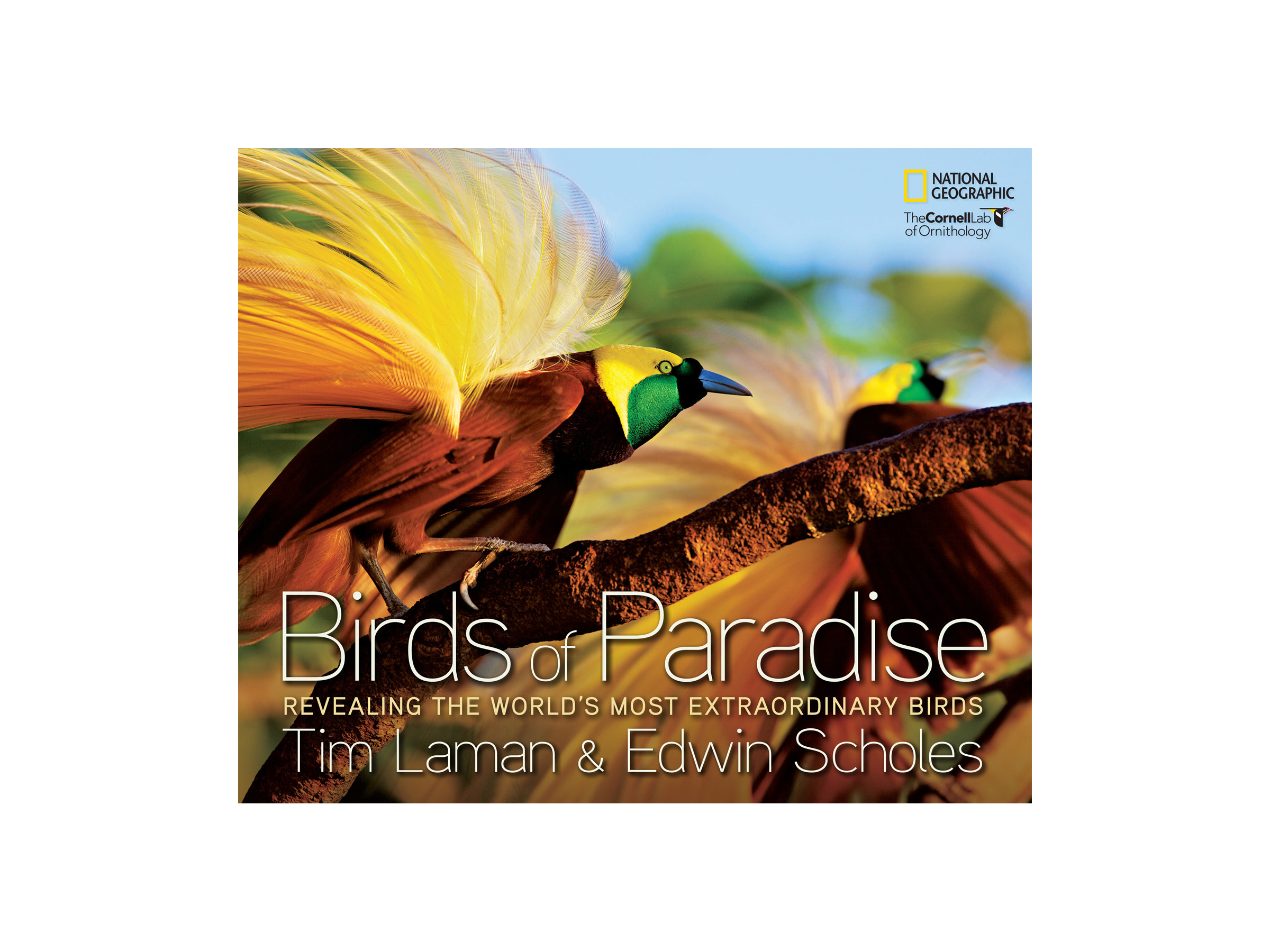 birds-of-paradise-book-review-american-profile