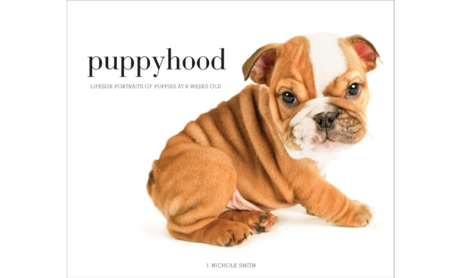 puppyhood-cute-puppy-photos
