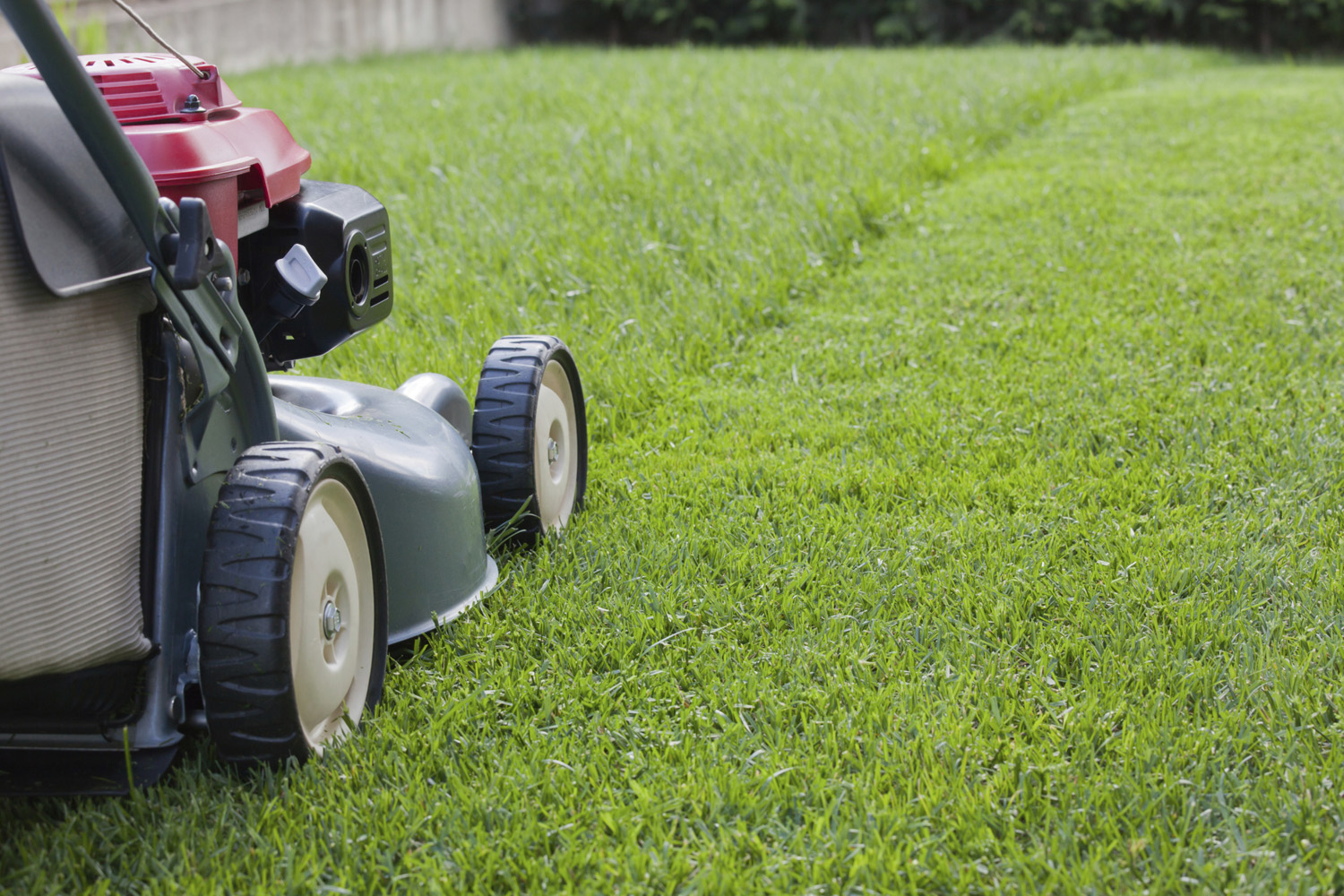 Super Bowl Groundskeepers Share Lawn Care Tips - American Profile