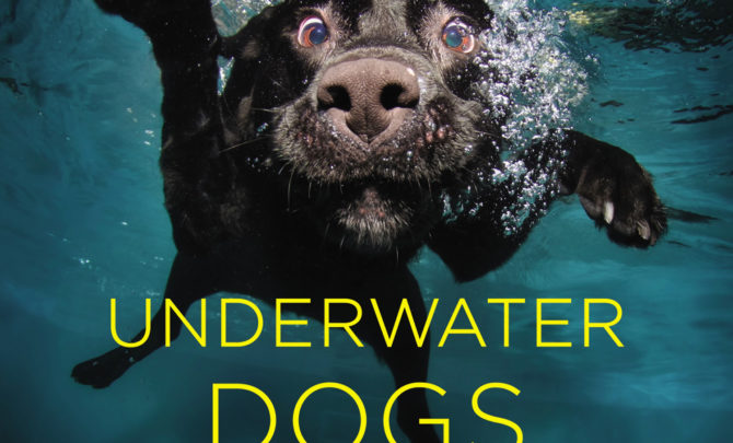 Underwater-Dogs