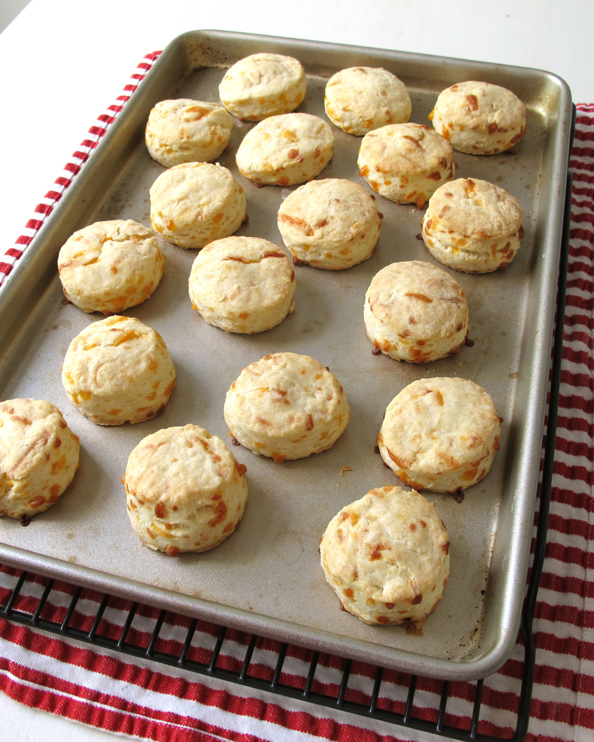 Cheddar Cheese Biscuits American Profile