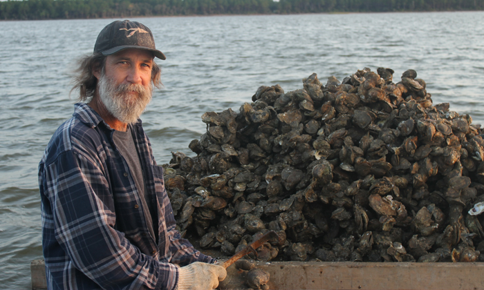 Oyster Town: Apalachicola Bay, Florida - American Profile