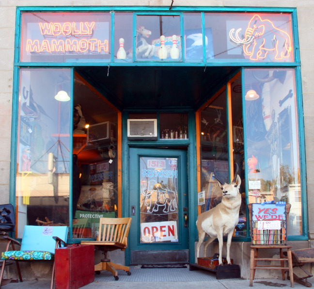 America’s Quirkiest Oddity Shops - American Profile