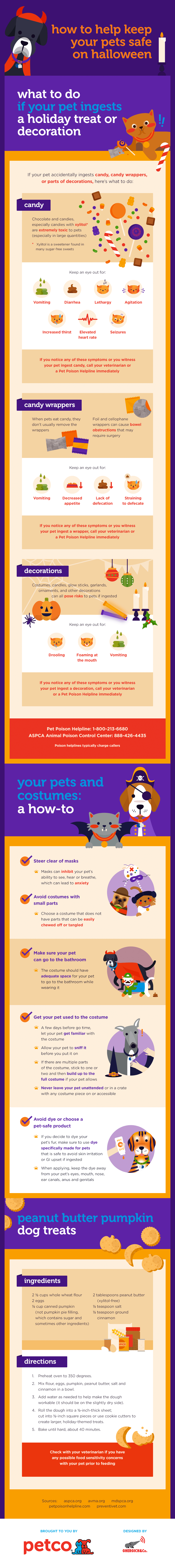 How to Keep Your Pet Safe on Halloween